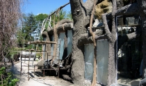 ogrod zoologiczny - wybieg dla dzioborozcow